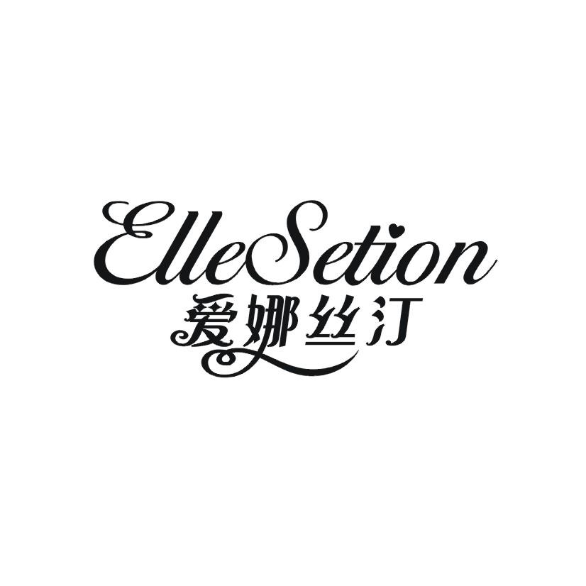 爱娜丝汀 ELLESETION