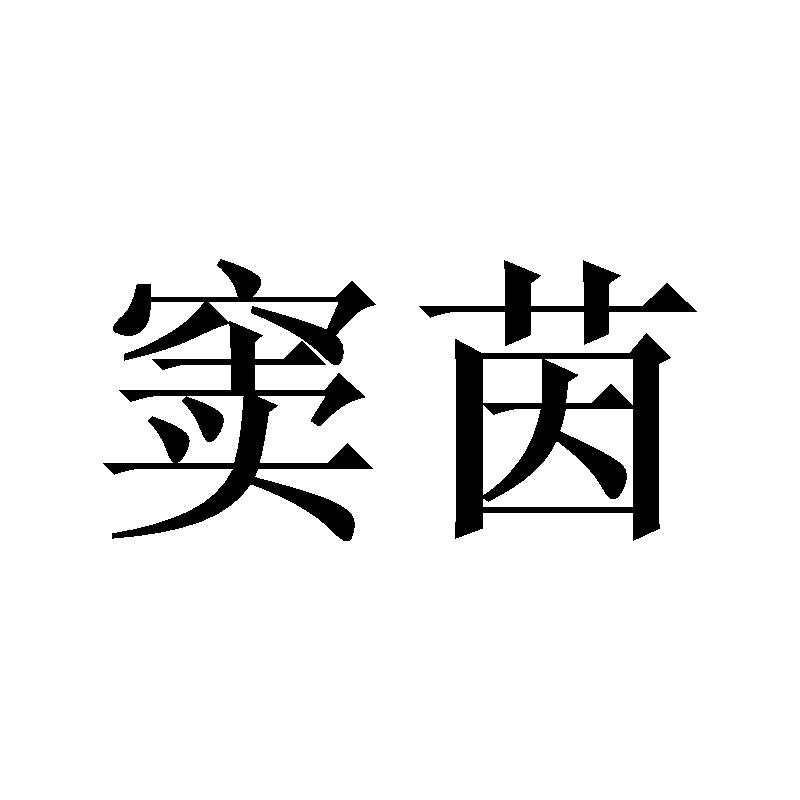 窦茵