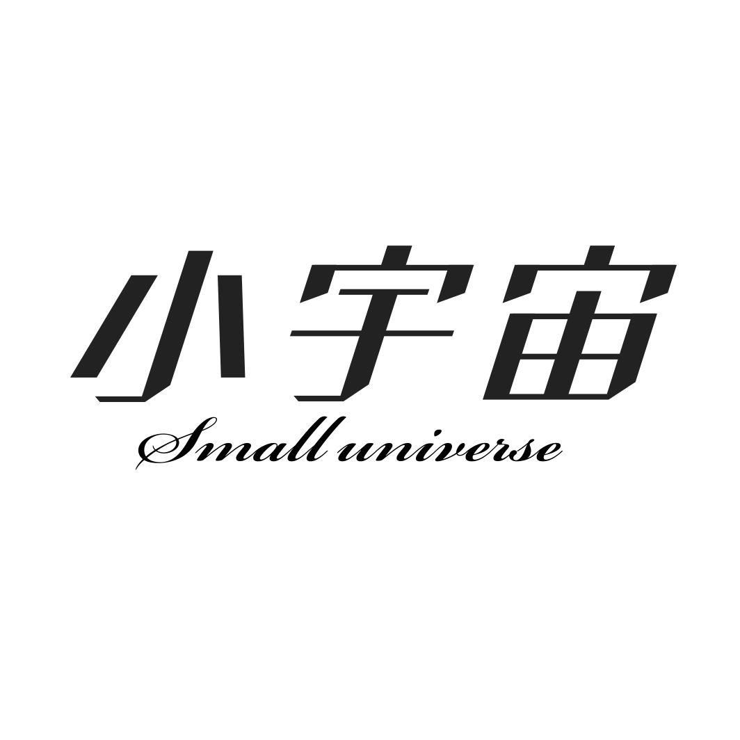 小宇宙SMALL UNIVERSE