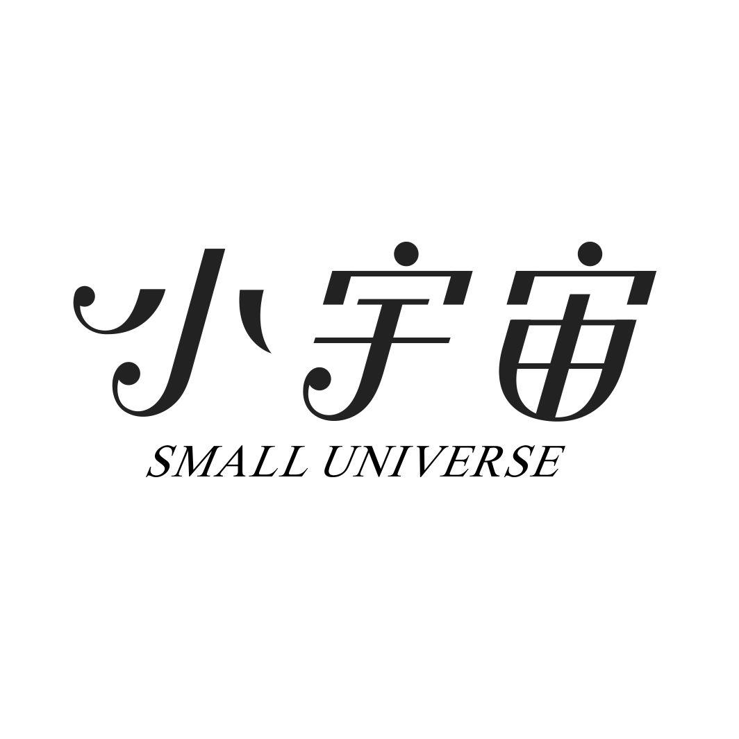小宇宙SMALL UNIVERSE