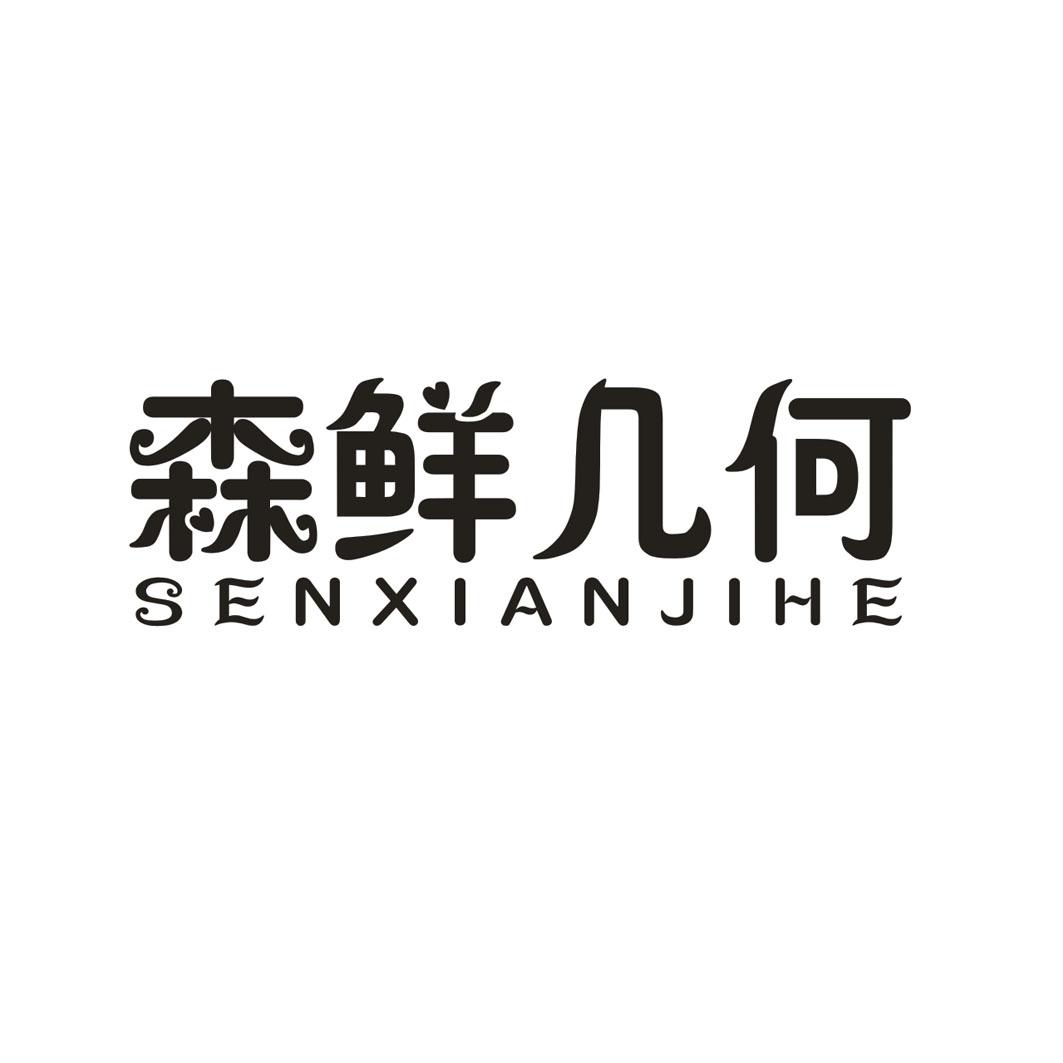 森鲜几何SENXIANJIHE