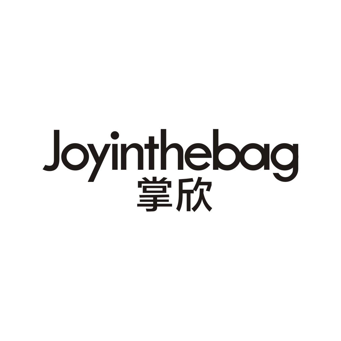 掌欣Joyinthebag