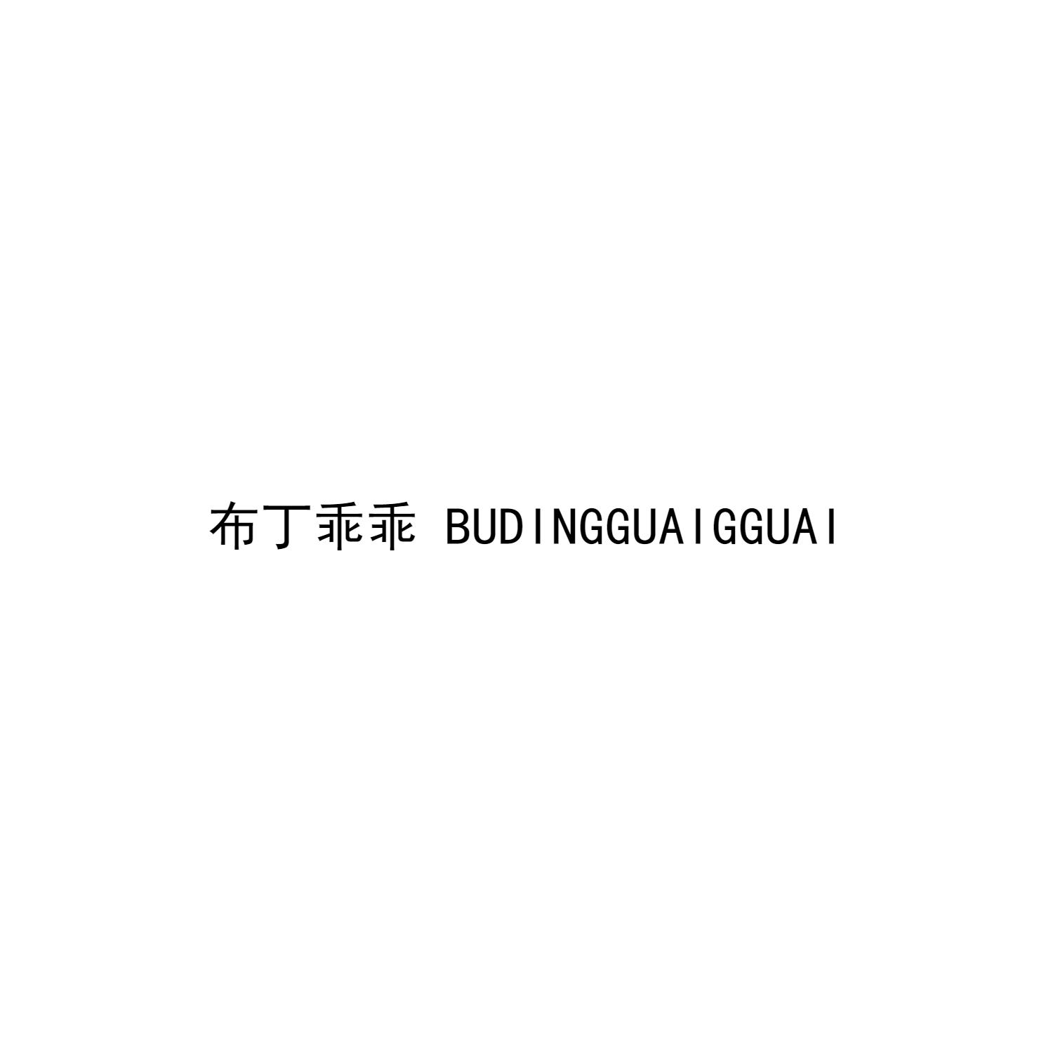 布丁乖乖 BUDINGGUAIGGUAI