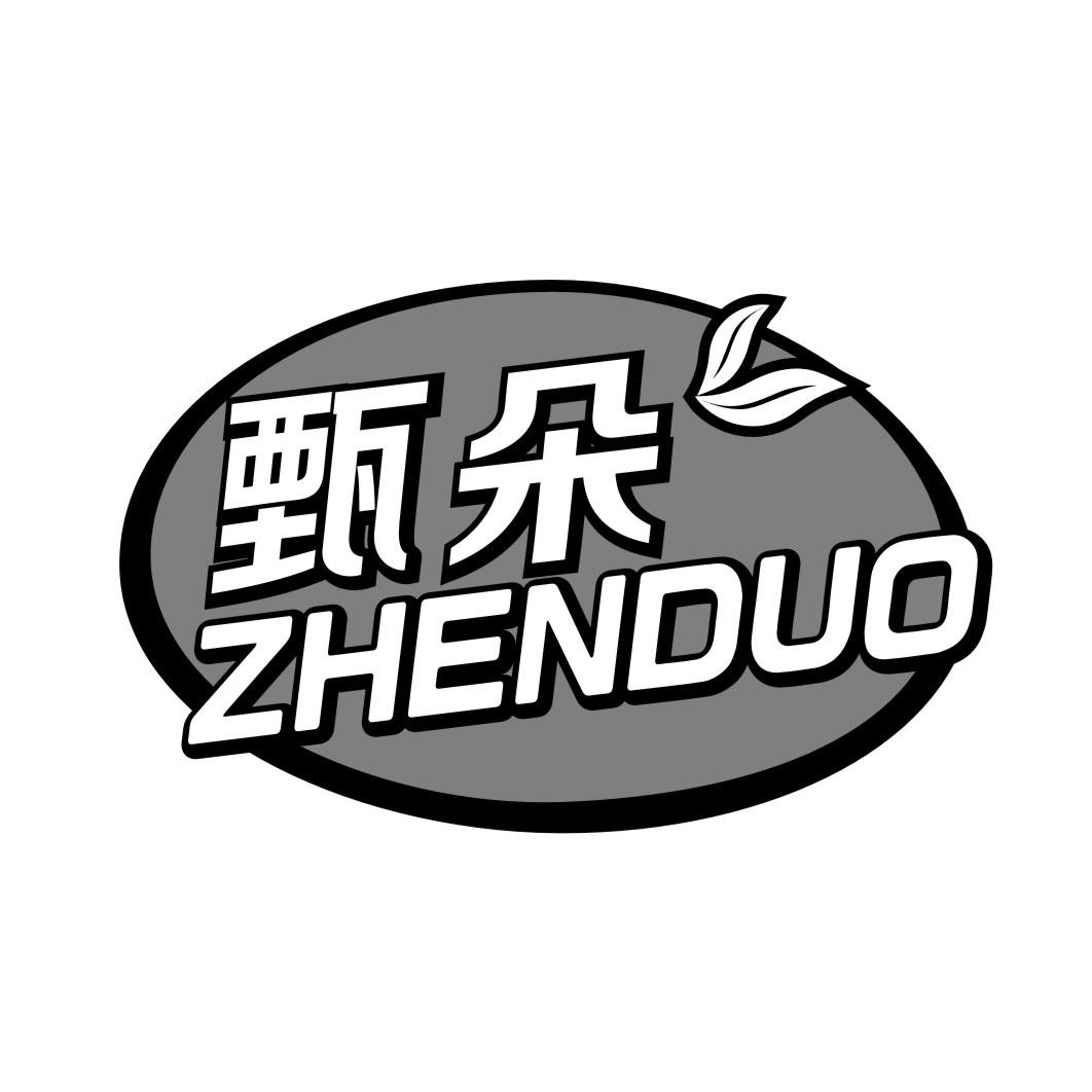 甄朵ZHENDUO