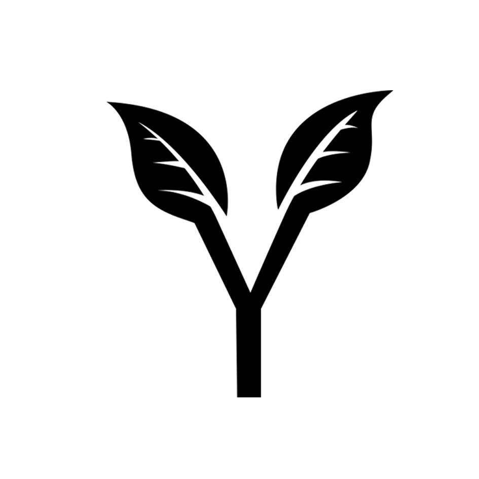 Y