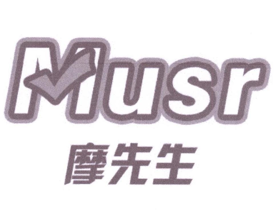 摩先生