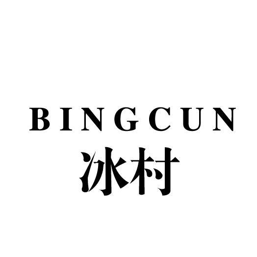 冰村