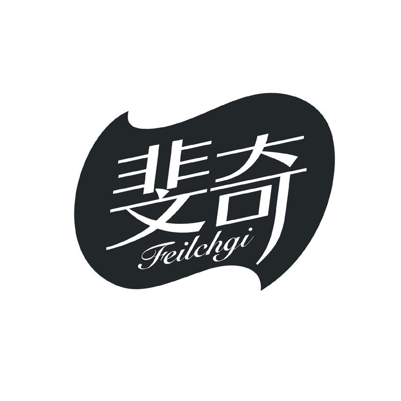斐奇 FEILCHGI