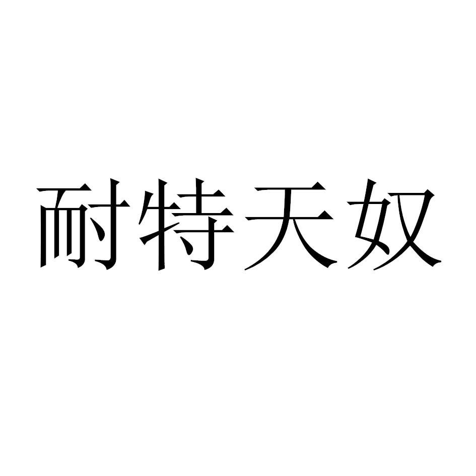 耐特天奴