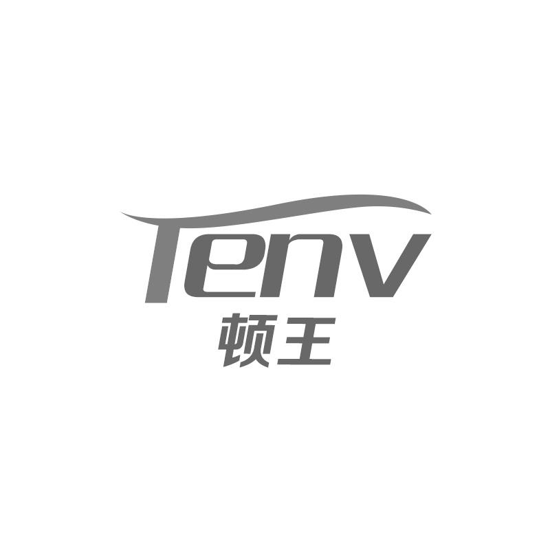 顿王 TENV