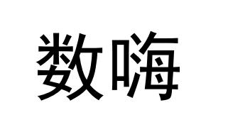 数嗨