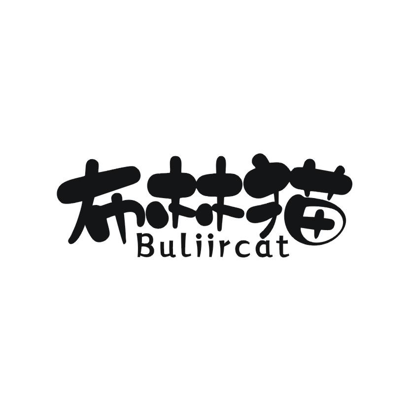 布林猫 BULIIRCAT