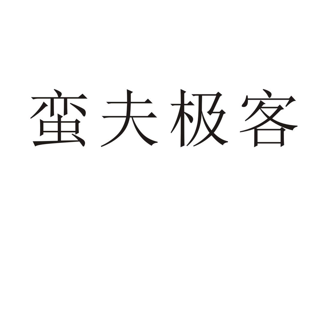蛮夫极客®
