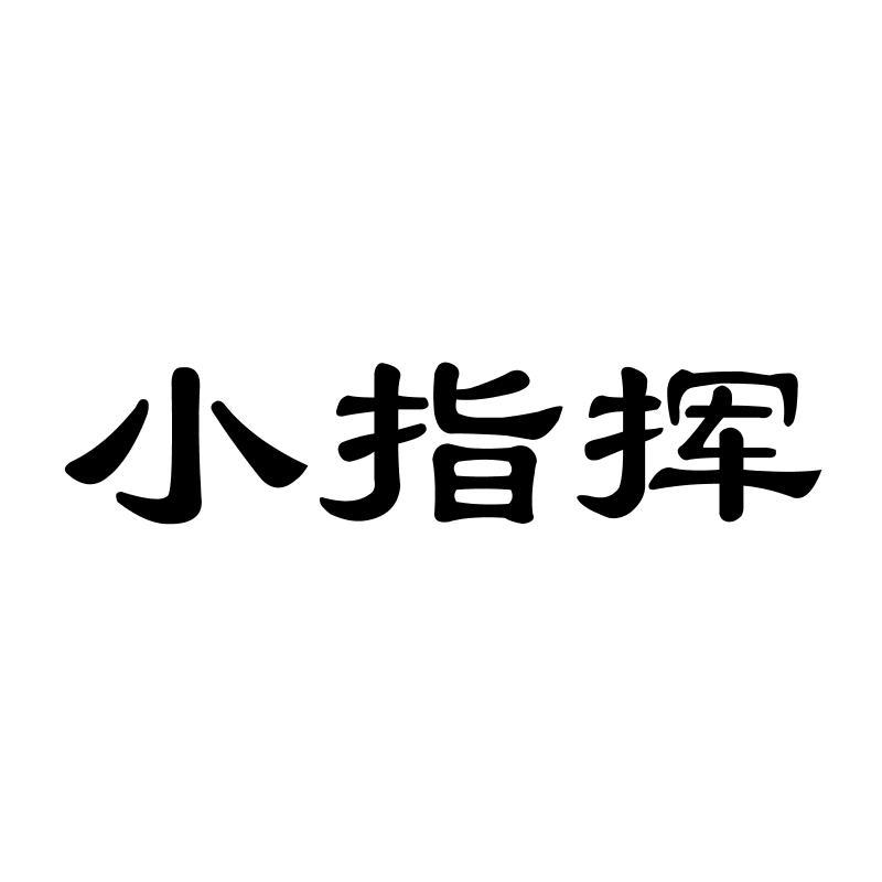 小指挥