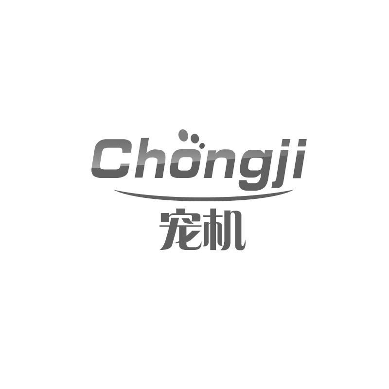 宠机