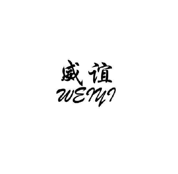 威谊WEIYI