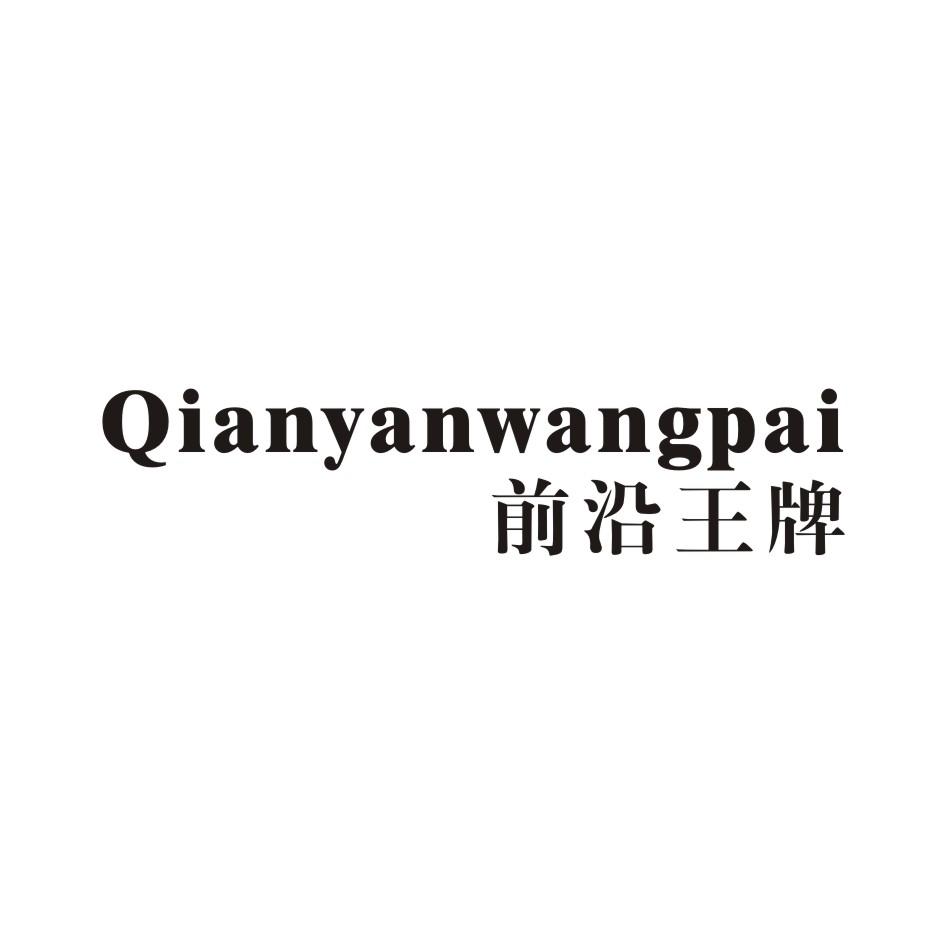 前沿王牌 QIANYANWANGPAI