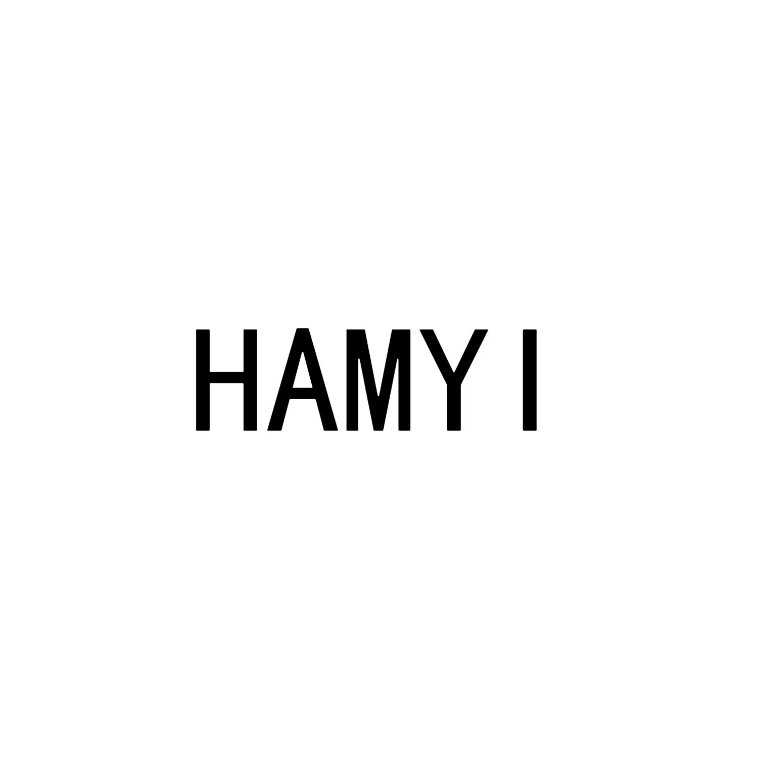 HAMYI