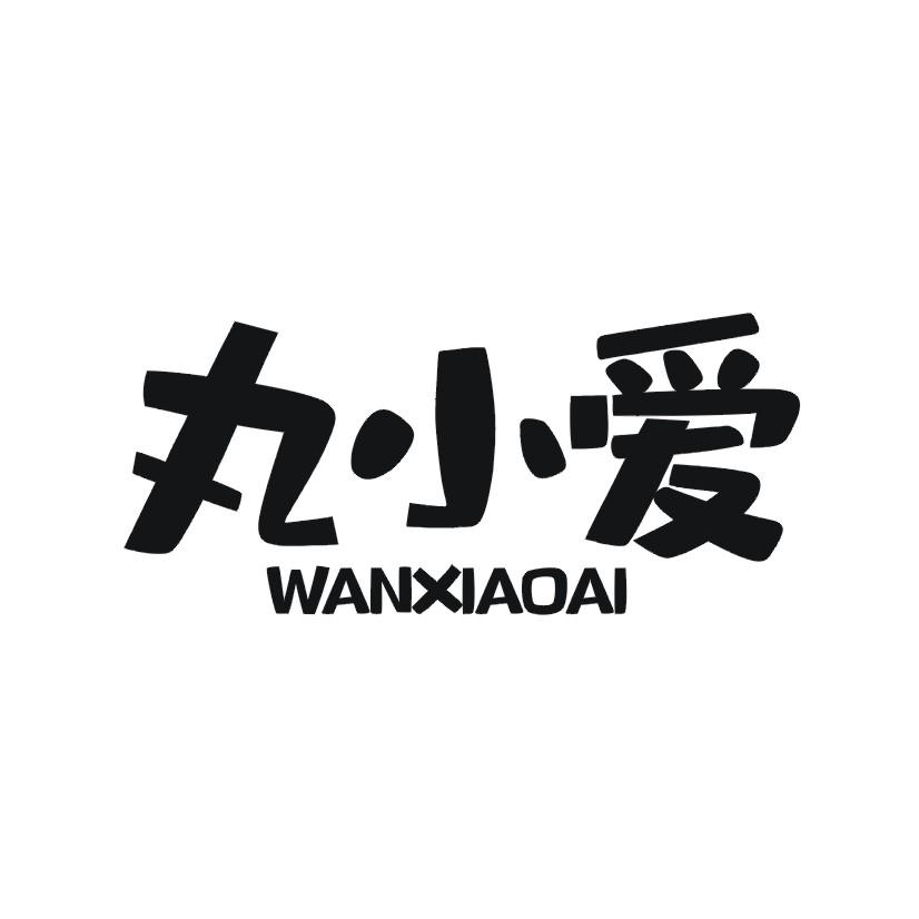 丸小爱