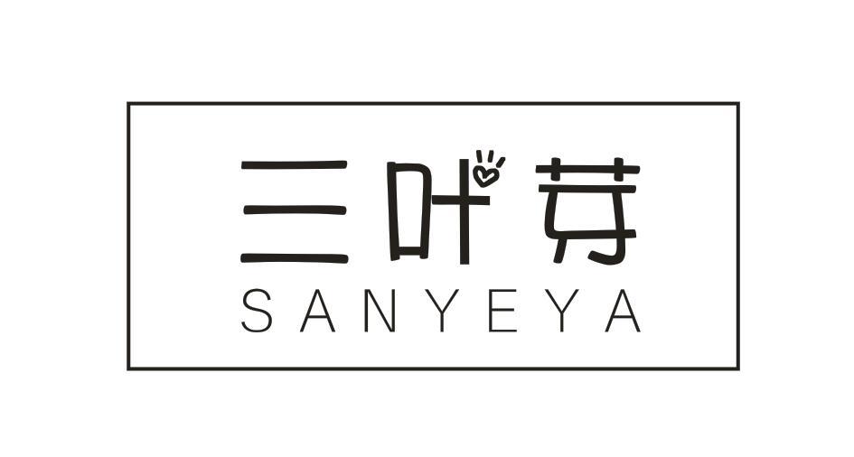 三叶芽