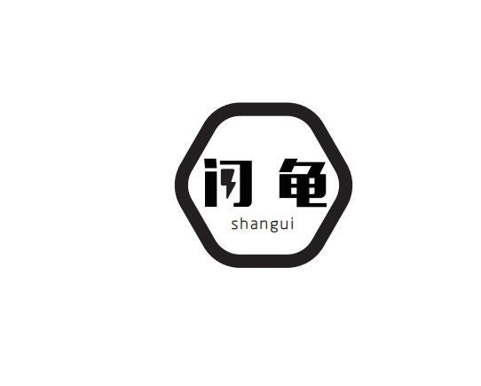 闪龟