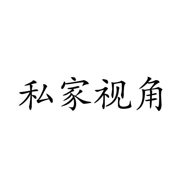 私家视角