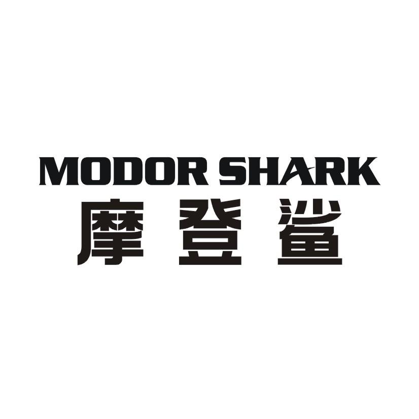 摩登鲨 MODOR SHARK