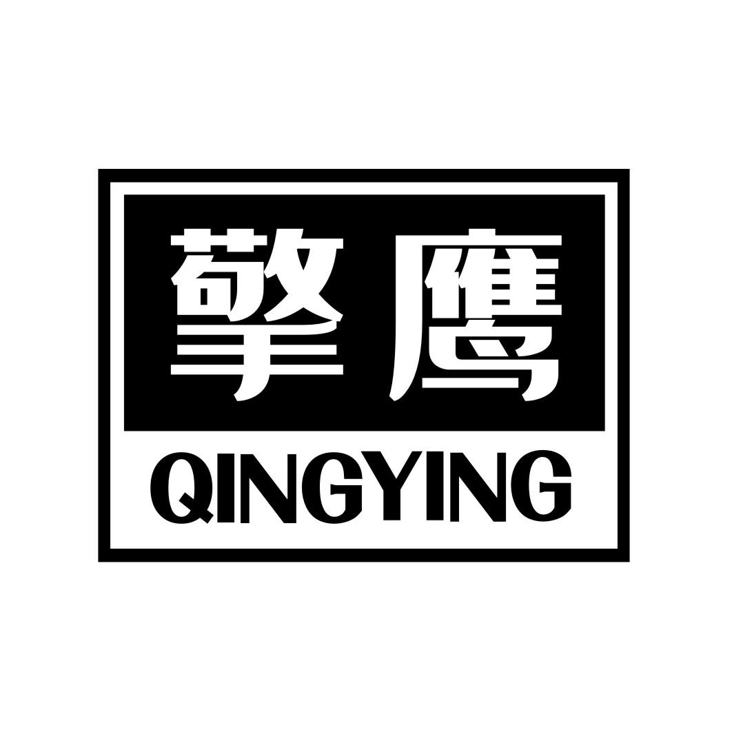 擎鹰QINGYING