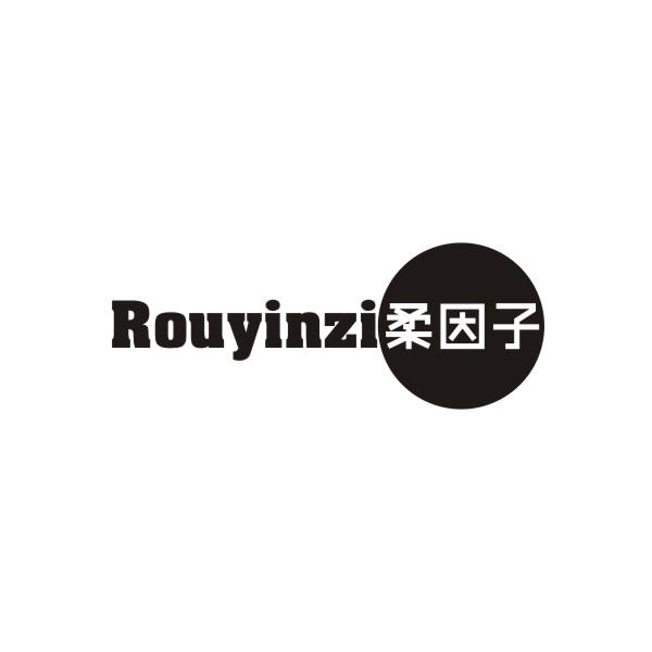 柔因子ROUYINZI