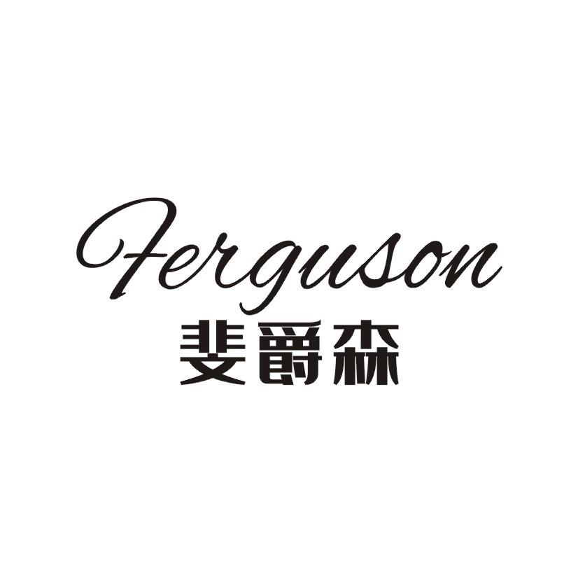 斐爵森 FEIGUSON