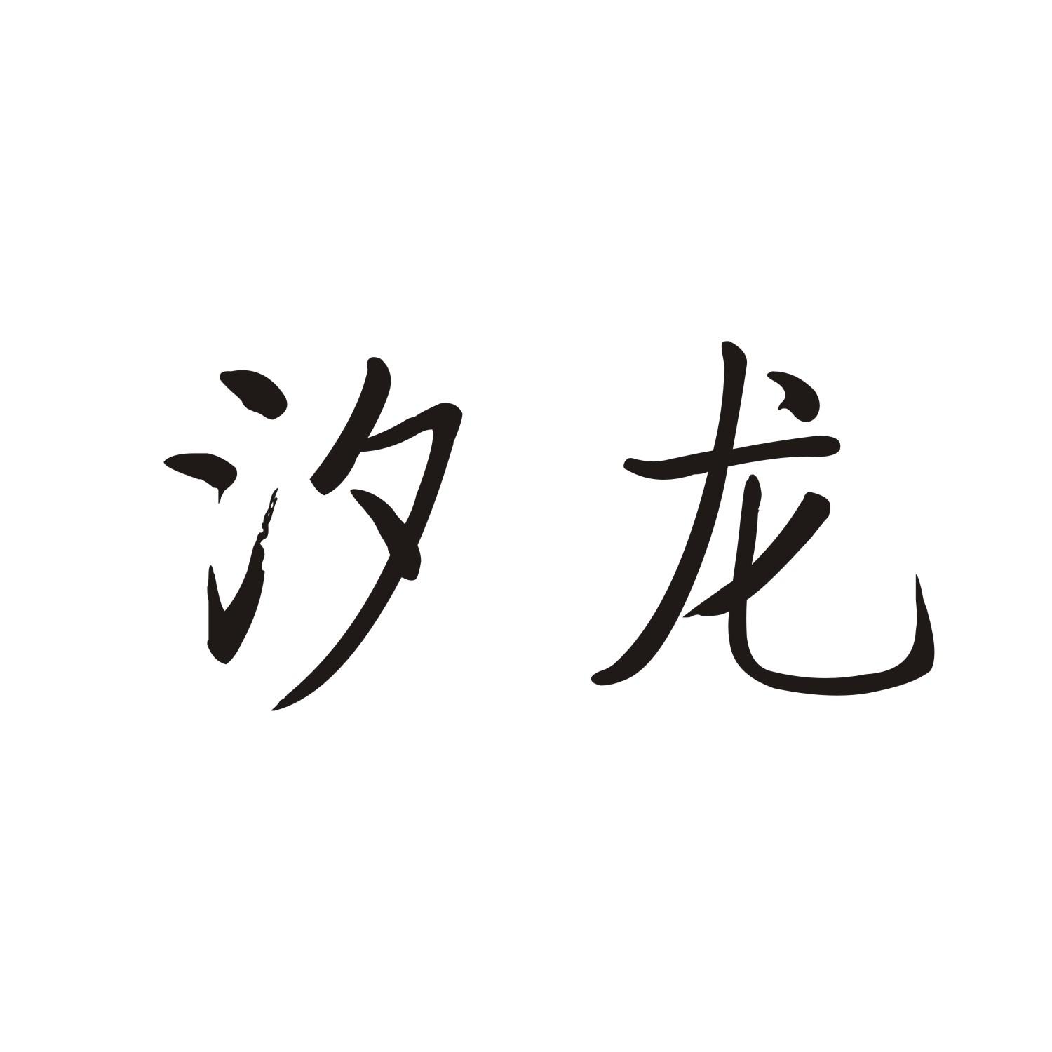 汐龙