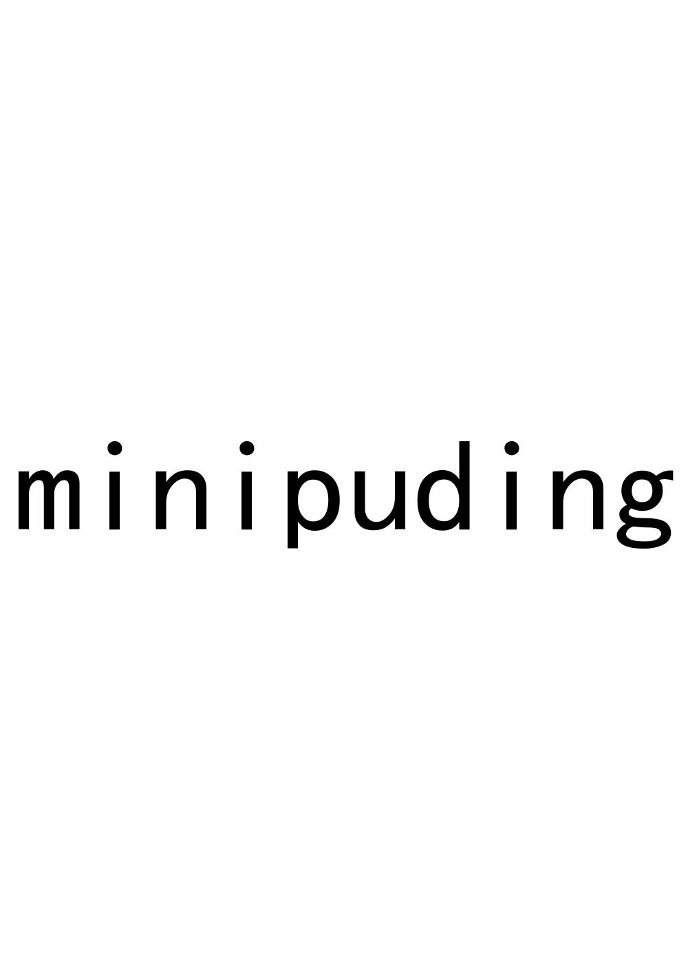 MINIPUDING