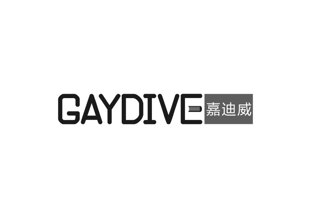 GAYDIVE嘉迪威