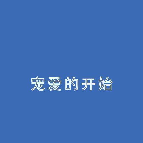 宠爱的开始