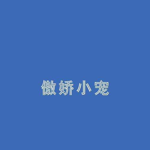 傲娇小宠