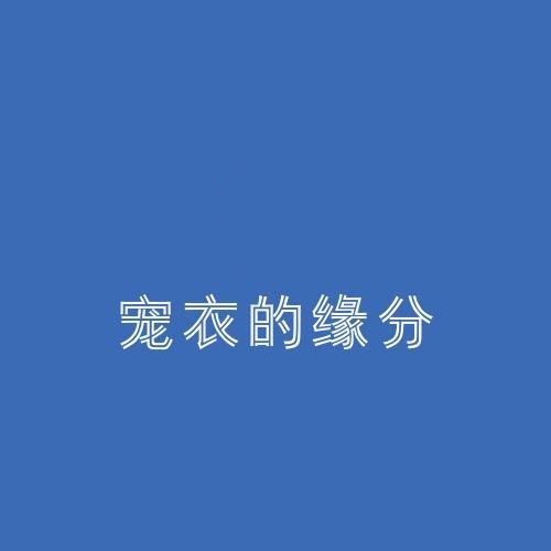 宠衣的缘分
