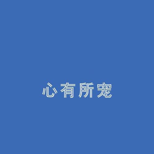 心有所宠