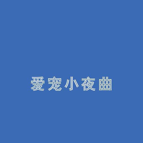 爱宠小夜曲