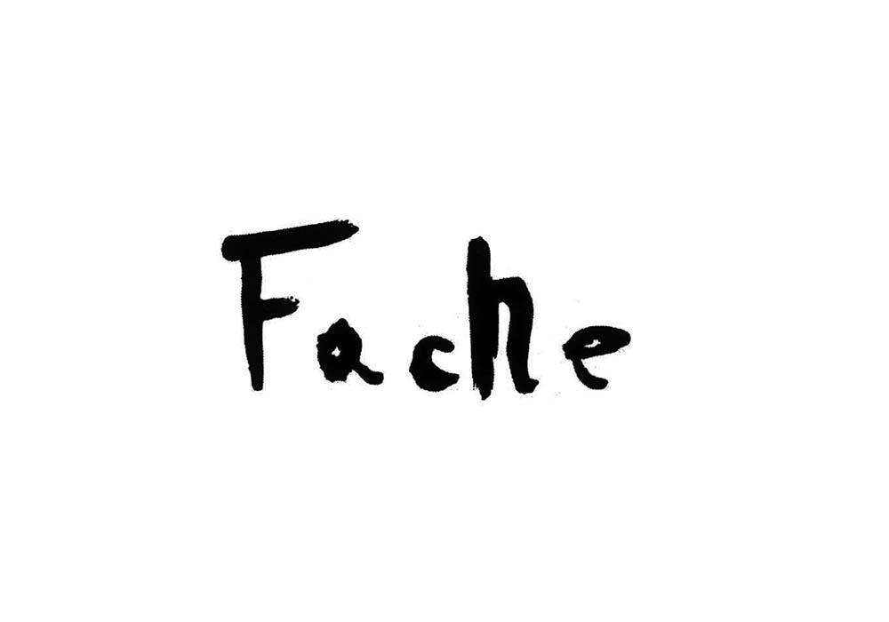 FACHE