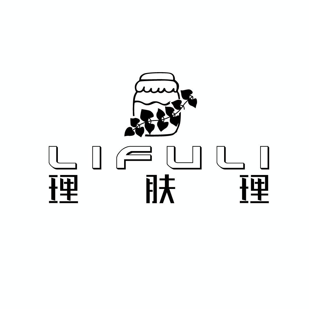 理肤理