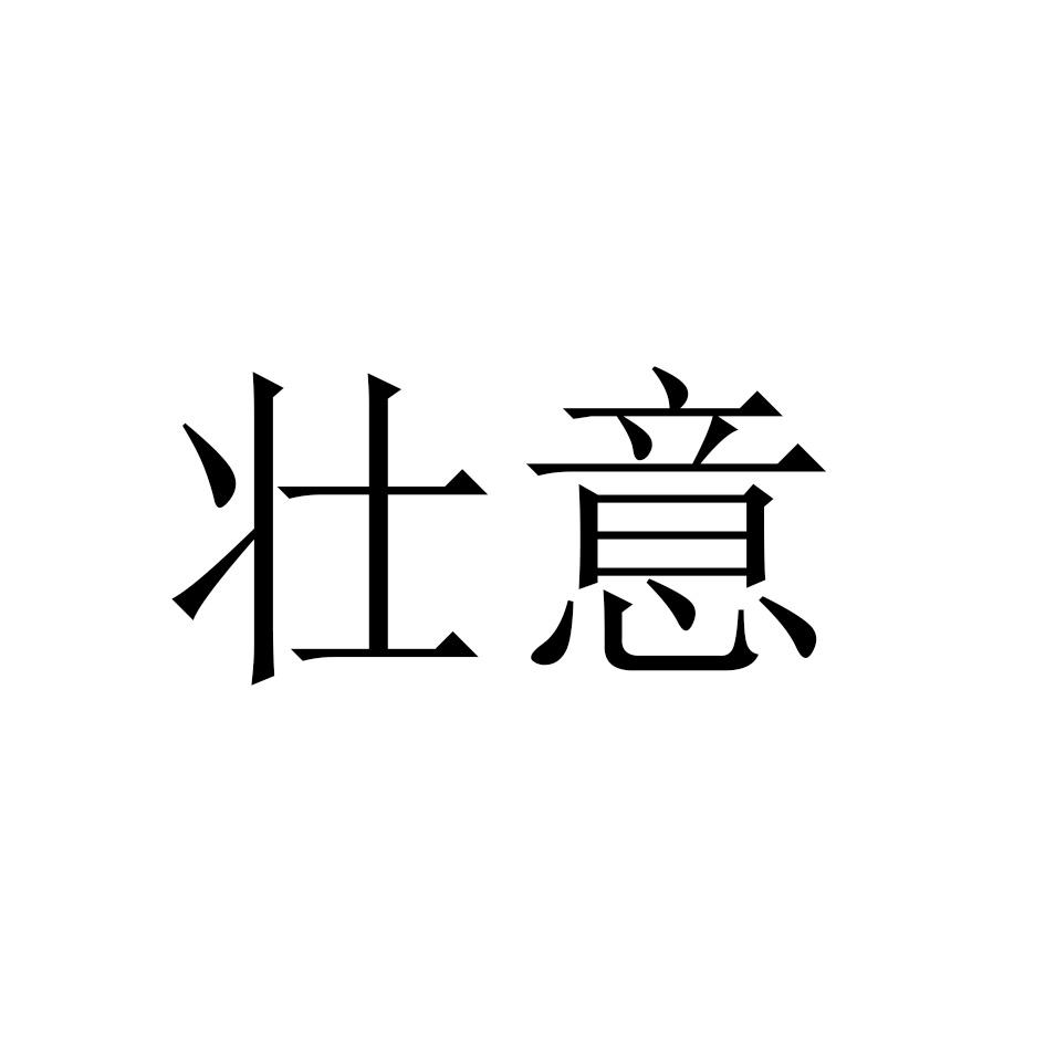 壮意
