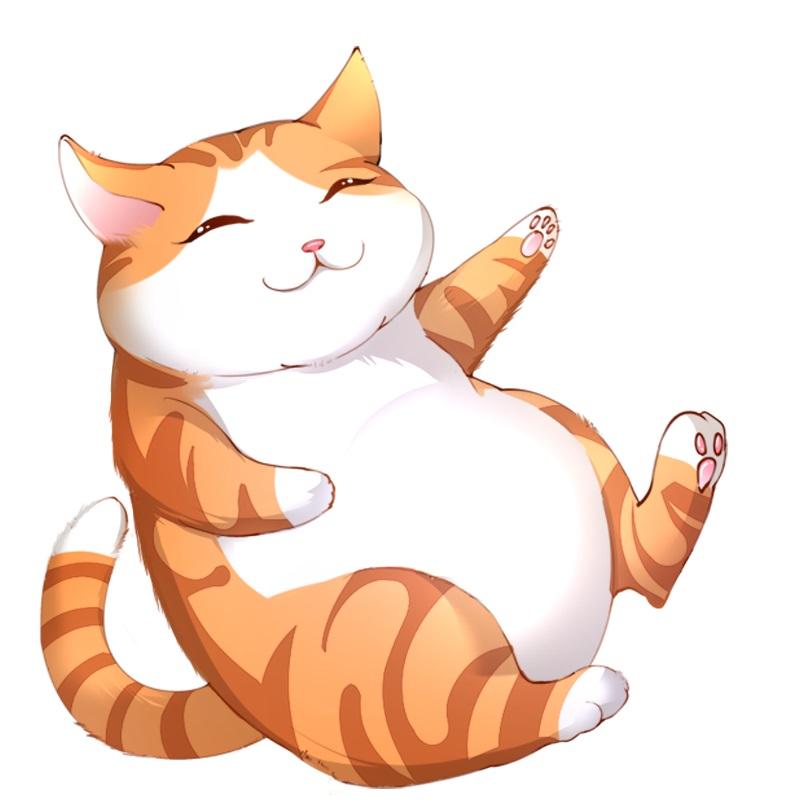 猫图形