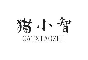猫小智