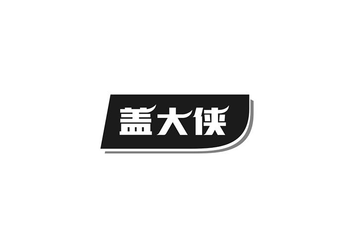 盖大侠