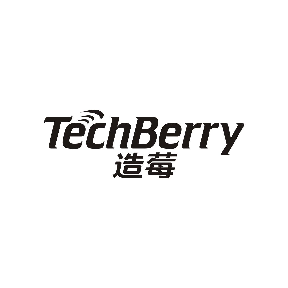 造莓
TECHBERRY