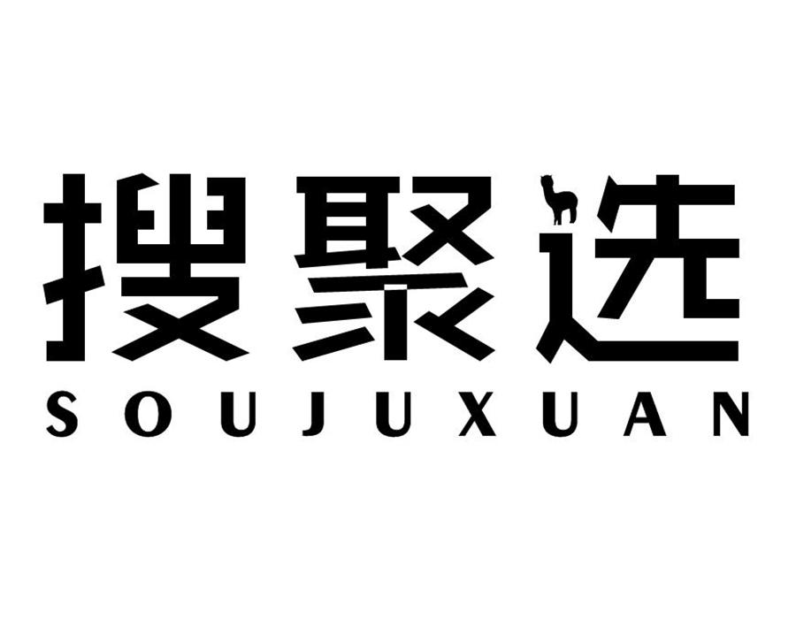 搜聚选