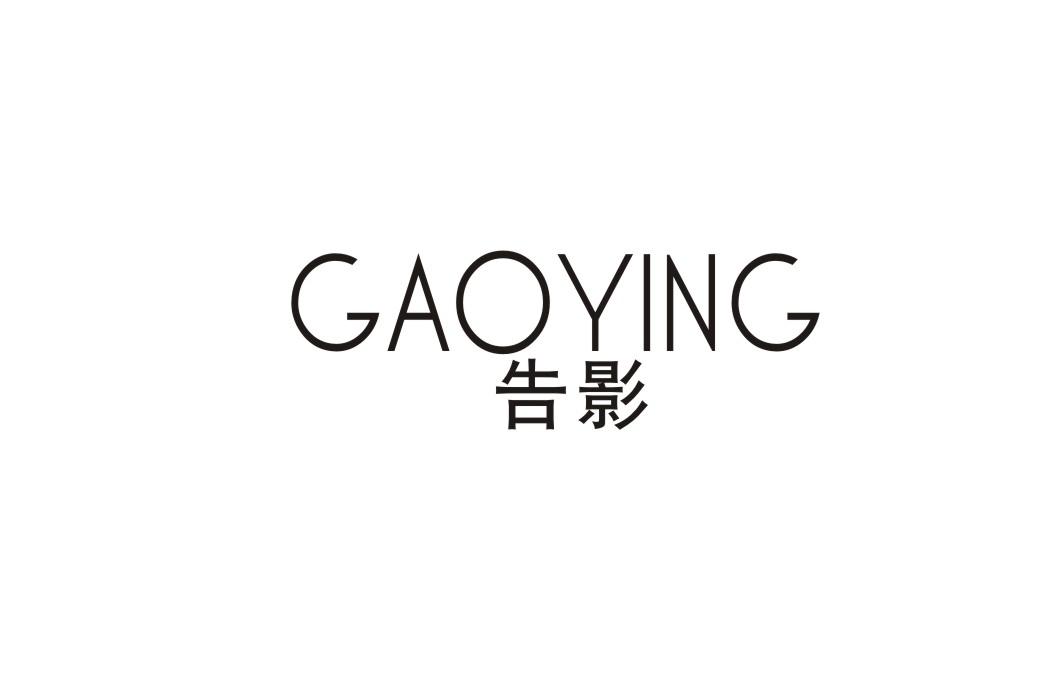 告影