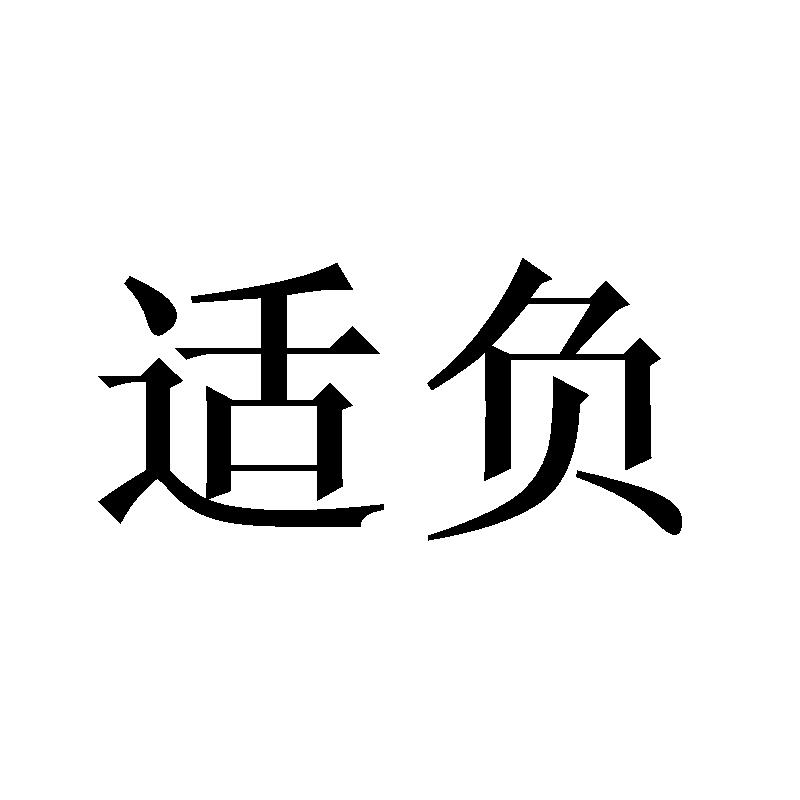 适负