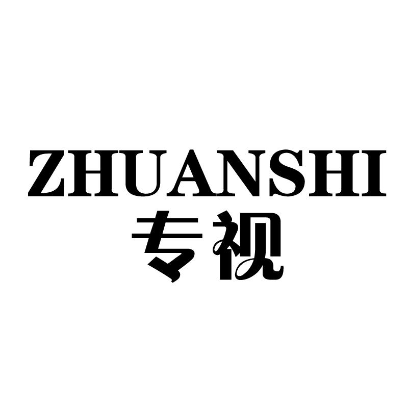 专视 