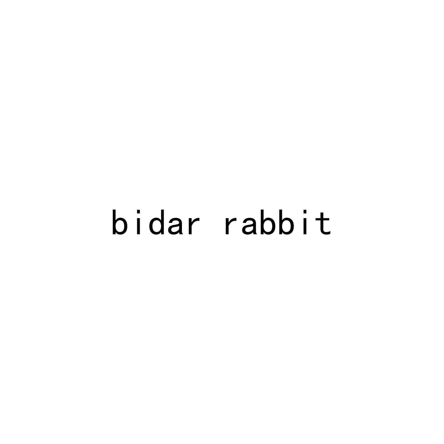 BIDAR RABBIT